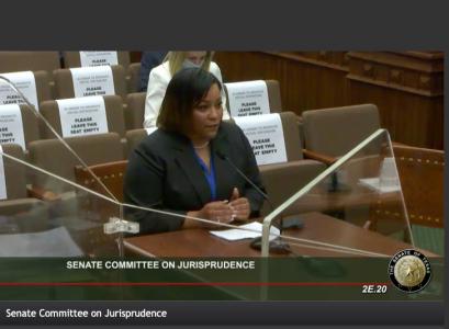 Screengrab of Cynthia testifying at the legislature